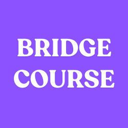 Bridge Course